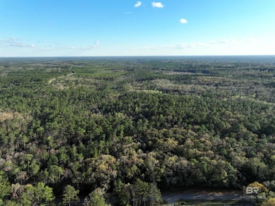 0 Dogwood Fork Rd unit 358700, Bay Minette, AL 36507 - photo 3