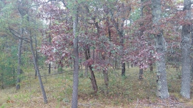 4168 W 32nd St, Baldwin, MI 49304 - photo 2