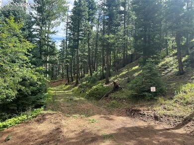 Future Driveway/Front of lot view