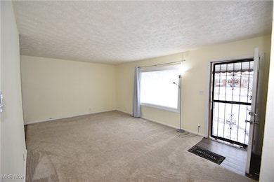 Entrance foyer with a textured ceiling, healthy amount of natural light, and light carpet