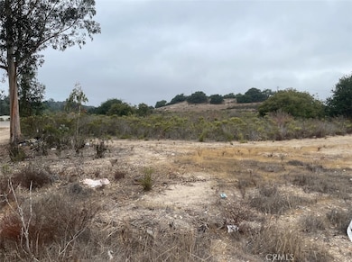 0 Los Berros Rd, Arroyo Grande, CA 93420 - photo 2