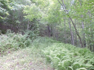 TBD Green Leaf Rd, Burnsville, NC 28714 - photo 7