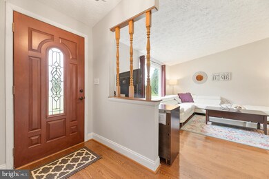 4534 Cub Run Rd, Chantilly, VA 20151 - photo 4