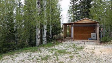 Shed with Kitchen Area