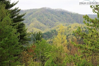 65 W Ridge Dr, Ferguson, NC 28624 - photo 5