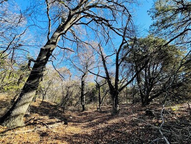 2405 Upper Denton Rd unit 2, Weatherford, TX 76085 - photo 5