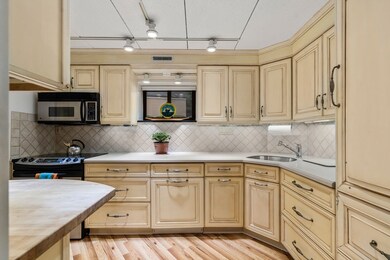 17 Healey St unit 103, Cambridge, MA 02138 - photo 3