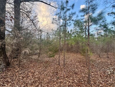 0 Lot 7 Cr 64 unit 25-443, Dennis, MS 38838 - photo 3