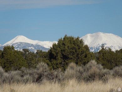 20 W Sunrise Country Rd unit 20, Monticello, UT 84535 - photo 5