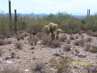 Lot Pic 4