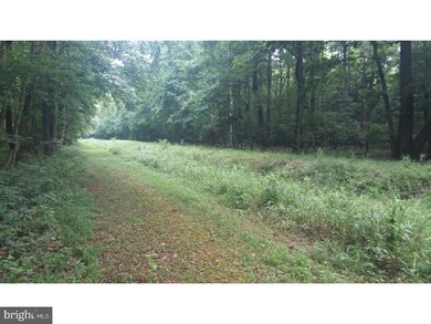 25 Acre Andrewville Rd, Harrington, DE 19952 - photo 7