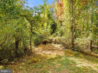 0 Fiery Run Rd unit VAFQ2005770, Linden, VA 22642 - photo 7