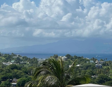 653 Calle Bastimiento, Vieques, PR 00765 - photo 2