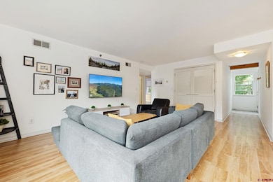 765 E College Dr unit 5, Durango, CO 81301 - photo 5