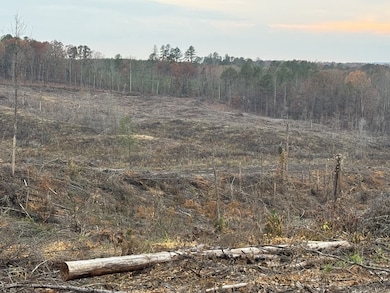 TBD Cr 442, Paris, MS 38949 - photo 4