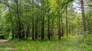 52 Acre-Lauderdale-MWLG-04