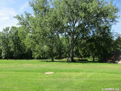 Backyard.