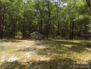 4318 284th Terrace, Branford, FL 32008 - photo 5