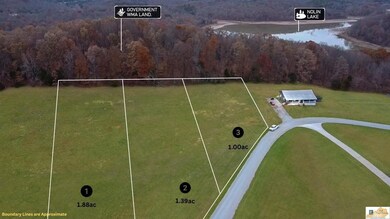 435 Indian Cliff Rd, Clarkson, KY 42726 - photo 6