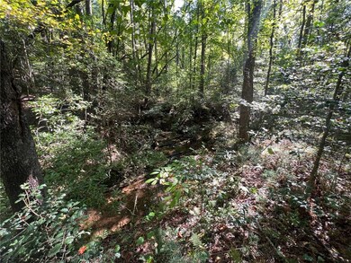 Tract 1-B C H 66, Tamassee, SC 29686 - photo 2