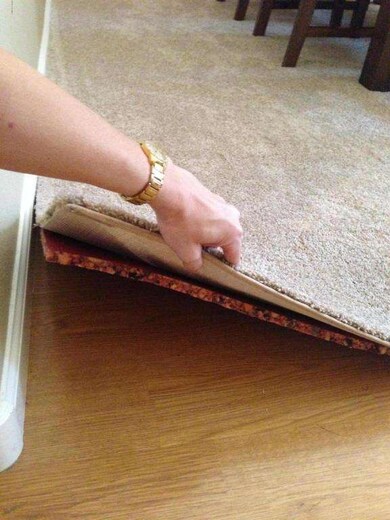 Carpet in Dining room/Living room