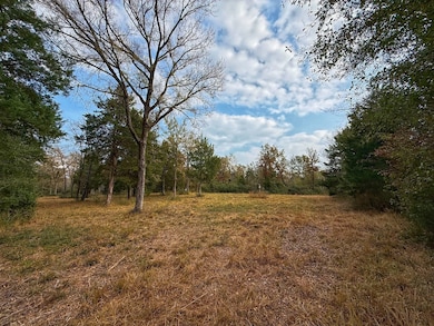 13 ac Highway 75 N, Buffalo, TX 75831 - photo 3