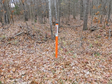 3.82 Ac Brights Rd, Gretna, VA 24557 - photo 2