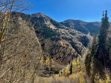 49404 Fs 567, Mancos, CO 81328 - photo 6