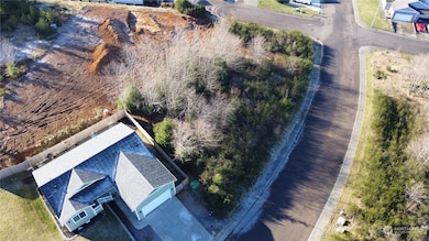 0 Sanderling (Lot 2) Dr, Hoquiam, WA 98550 - photo 4