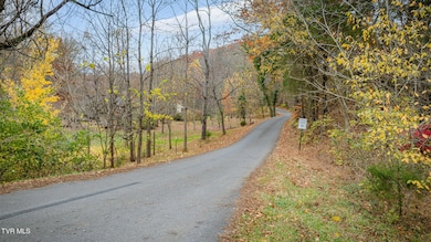 115 Mays Rd, Elizabethton, TN 37643 - photo 4