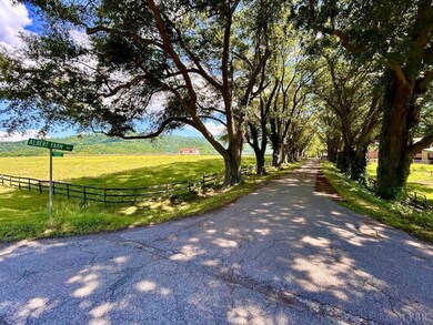 127 Albert Farm Rd, Monroe, VA 24574 - photo 6