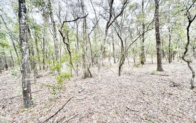 10 NE Tansy Road Lot 29, Mayo, FL 32066 - photo 3