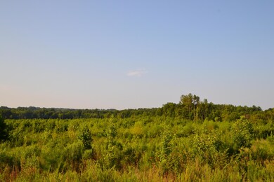 0 Westbrook Rd, Edgemoor, SC 29712 - photo 7