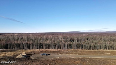 13446 W Excalibur Cir, Houston, AK 99694 - photo 3