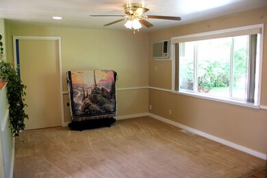 Living Room View (2)