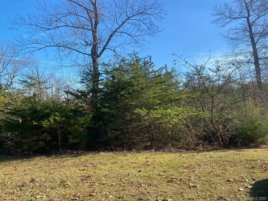 00 Fowler Rd unit 2A-2E, Mill Spring, NC 28756 - photo 6