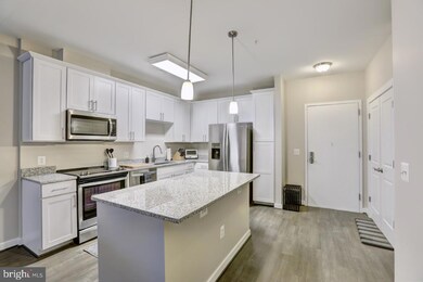 9430 Silver King Ct unit 105, Fairfax, VA 22031 - photo 4