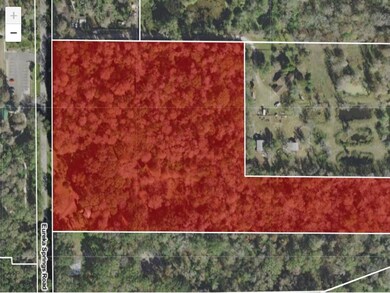 6305 Eureka Springs Rd, Tampa, FL 33610 - photo 4