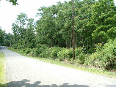 0 Willowbrook Rd, Livingston, NY 12541 - photo 4