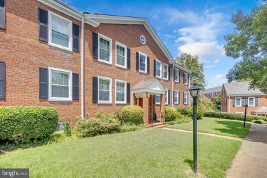 2931 S Columbus St unit B1, Arlington, VA 22206 - photo 2