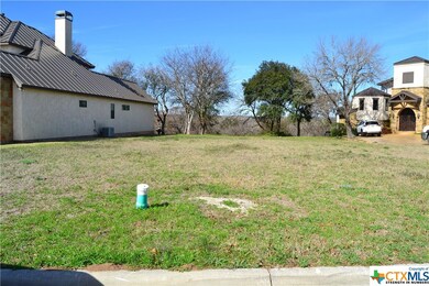 1321 Gruene Leaf Dr, New Braunfels, TX 78130 - photo 2