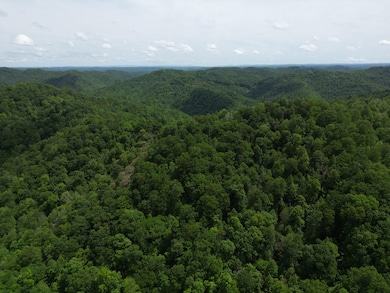 24 Border Creek Rd, Panther, WV 24872 - photo 4