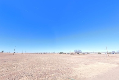 Everitt unit Clarendon TX 79068, Howardwick, TX 79226 - photo 2