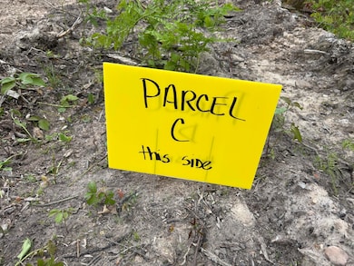 Parcel #C Town Line Rd, Lewiston, MI 49756 - photo 4