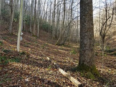 000 Roaring Fork Rd, Burnsville, NC 28714 - photo 3