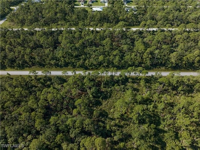 14142 Dunlap Ave, Port Charlotte, FL 33953 - photo 4