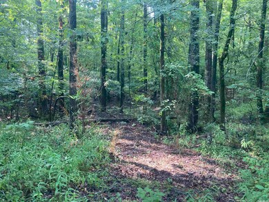 000 Ferguson Rd, Heber Springs, AR 72543 - photo 7