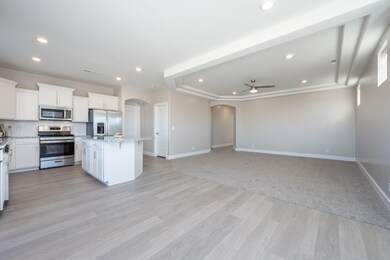 529 S Alserio Lane