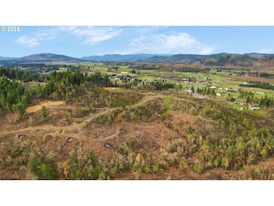 37308 Hyw 58, Pleasanthill, OR 97455 - photo 4