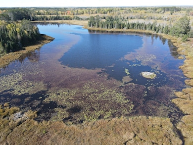15+acre pond on NW corner of the land
